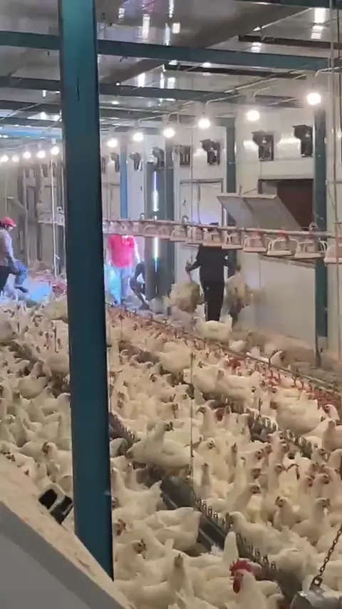 مشاهد من مرافق الشياح 3